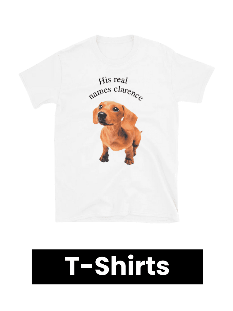Categorie Shirt ShirtsApArt